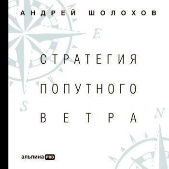 Стратегия попутного ветра. Как обнаружить или создать асимметрии, способные придать бизнесу ускорение — Шолохов Андрей