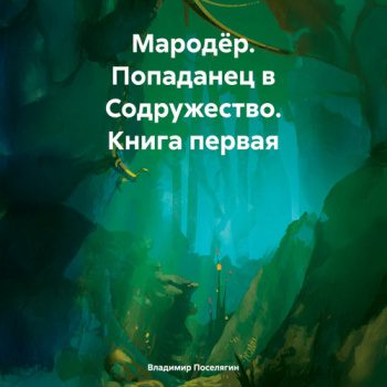 Попаданец в Содружество - Поселягин Владимир