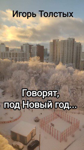 Говорят, под Новый год — Толстых Игорь