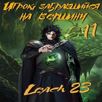 Игрок, забравшийся на вершину. Книга 11 — Leach23