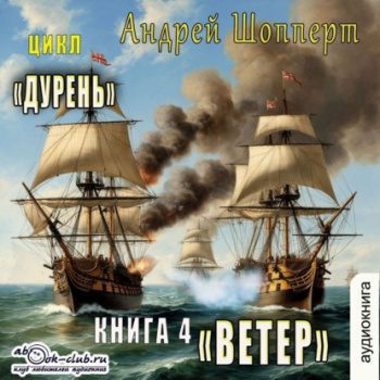 Дурень. Книга четвёртая. Ветер — Шопперт Андрей