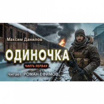 Одиночка - Данилов Максим