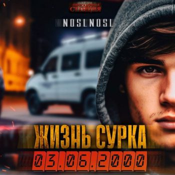 Жизнь сурка — noslnosl
