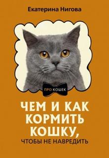 Чем и как кормить кошку, чтобы не навредить — Нигова Екатерина