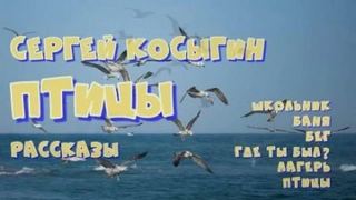 Сборник рассказов — Косыгин Сергей