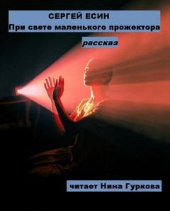При свете маленького прожектора - Есин Сергей