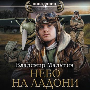 Небо на ладони - Малыгин Владимир