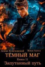 Тёмный маг. Книга 11. Запутанный путь — Ключевской Алекс, Ангел Илья