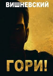 Холодное пламя: Гори! - Вишневский Сергей