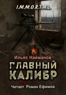 Главный калибр — Найманов Ильяс