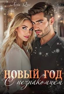 Новый год с незнакомцем — Qui Asya